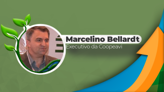 Marcelino Bellardt