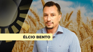 Élcio Bento - Analista da Safras & Mercado