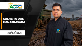 BOA TARDE AGRONEGÓCIO Gui