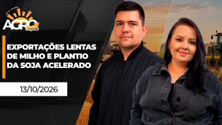 Boa Tarde Agronegócio - com Carla Mendes e Guilherme Dorigatti