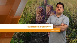 Guilherme Dorigatti - Jornalista
