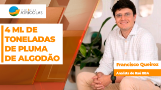 BOLETINS THUMB ALGODÃO