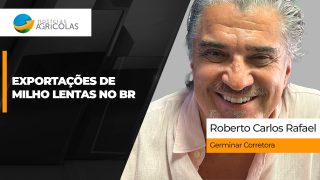 BOLETINS THUMB MILHO