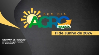 Bom dia Agro, com Carla Mendes