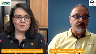 Paulo Moura - Cientista Político do canal Dextra