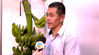 Edson Nomura - Pesquisador Apta Regional