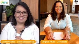 Virgínia Alves - Jornalista