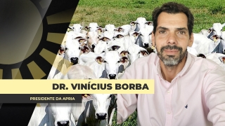 Dr. Vinícius Borba Advogado