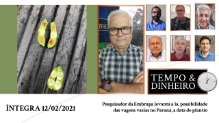 Tempo  & Dinheiro - Com João Batista Olivi