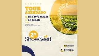 Tempo  & Dinheiro - Com João Batista Olivi