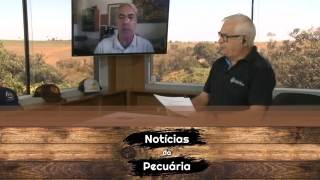 Tempo  & Dinheiro - Notícias da Pecuária, com Sérgio Braga