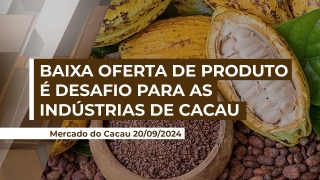 Anna Paula Losi - Diretora Executiva AIPC