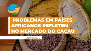 Rafael Machado Borges - Analista de Inteligência de Mercado da Stonex