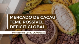 Alê Delara - Sócio Diretor da Pine Agronegócios