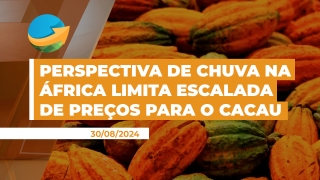 André Lisboa - Administrador e Empresário na compra de cacau em amêndoas