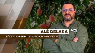 Alê Delara - Sócio Diretor da Pine Agronegócios