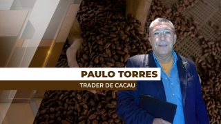 Paulo Torres - Trader de Cacau
