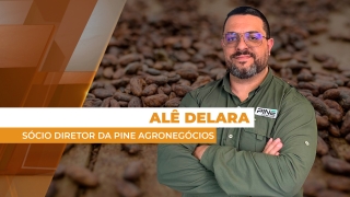 Alê Delara - Sócio Diretor da Pine Agronegócios