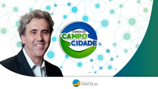 Mesmo com dificuldades pontuais, Brasil caminha para uma grande safra no próximo ano