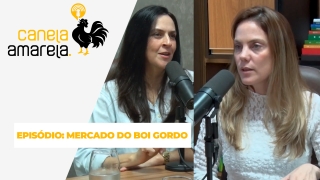 Canela Amarela Podcast - com Sarah Dare