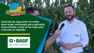 Rafael Marcon - Ger. Sênior Vendas Centro- Sul - Basf