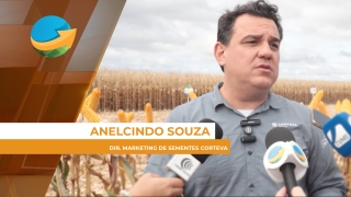 Anelcindo Souza
