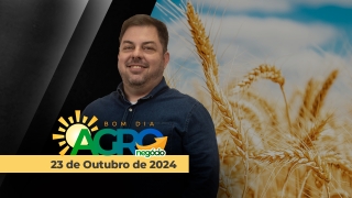 Bom dia Agronegócio