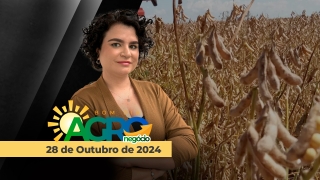 Bom Dia Agronegócio