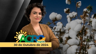 Bom dia Agronegócio