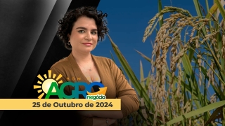 Bom dia Agronegócio