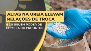 Jeferson Souza - Analista de Fertilizantes da Agrinvest