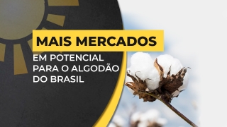 Pery Passotti Pedro