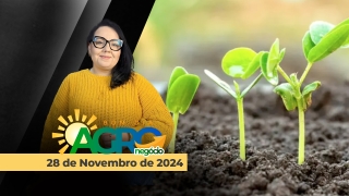 Bom Dia Agro - Com Carla Mendes