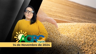 Bom Dia Agro