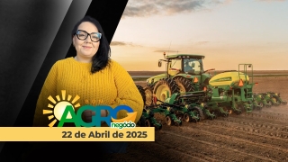 Bom Dia Agro - Com Carla Mendes