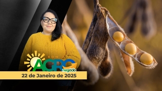 Bom Dia Agro - Com Carla Mendes