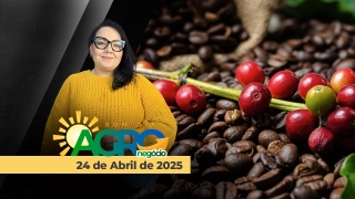 Bom Dia Agro - Com Carla Mendes