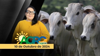 Bom Dia Agro
