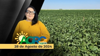 Bom Dia Agro