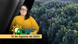 Bom dia Agro