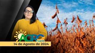 Bom Dia Agro
