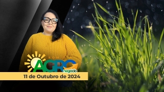 Bom Dia Agro