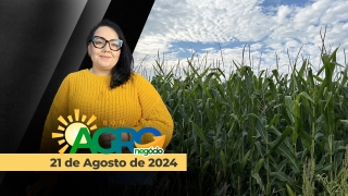 Bom Dia Agro