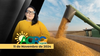Bom Dia Agro
