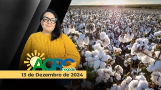 Bom Dia Agro - Com Carla Mendes
