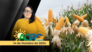 Bom Dia Agro