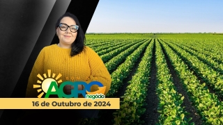 Bom Dia Agro