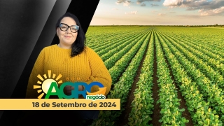 Bom dia Agro