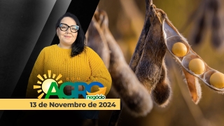 Bom Dia Agro