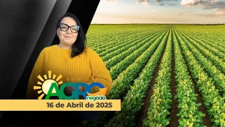 Bom Dia Agro - Com Carla Mendes